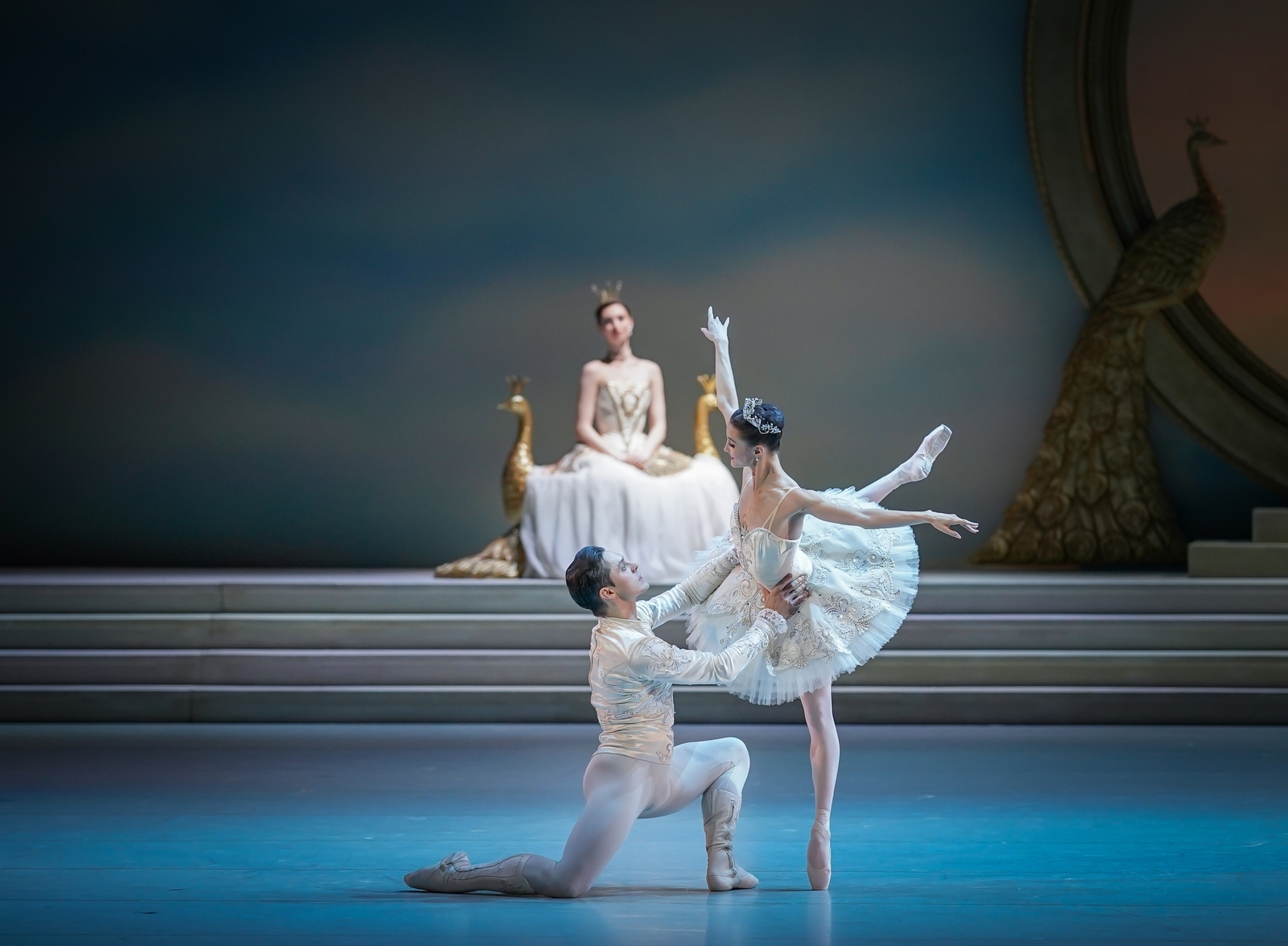 Спящая красавица в НОВАТе - Фото №8