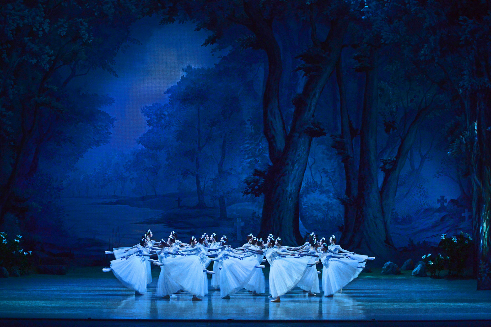 Giselle, ou les Wilis in NOVAT - Photo №7