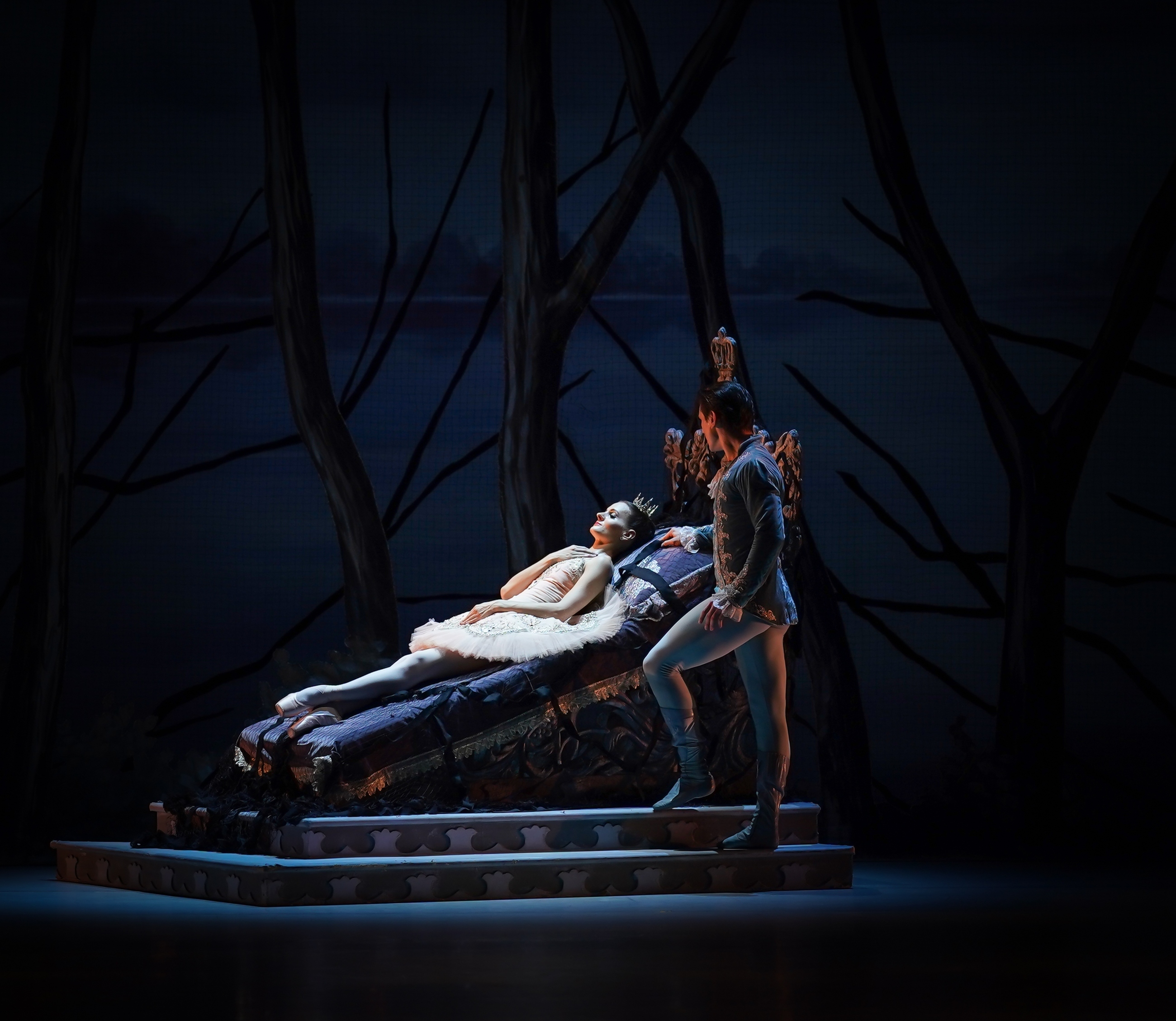 Спящая красавица в НОВАТе - Фото №14