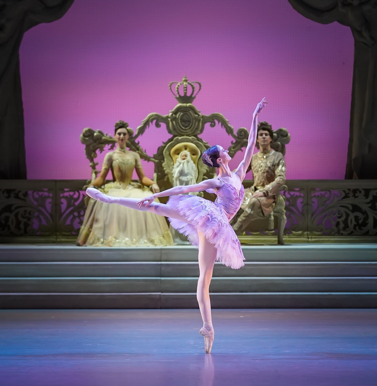 Спящая красавица в НОВАТе - Фото №11