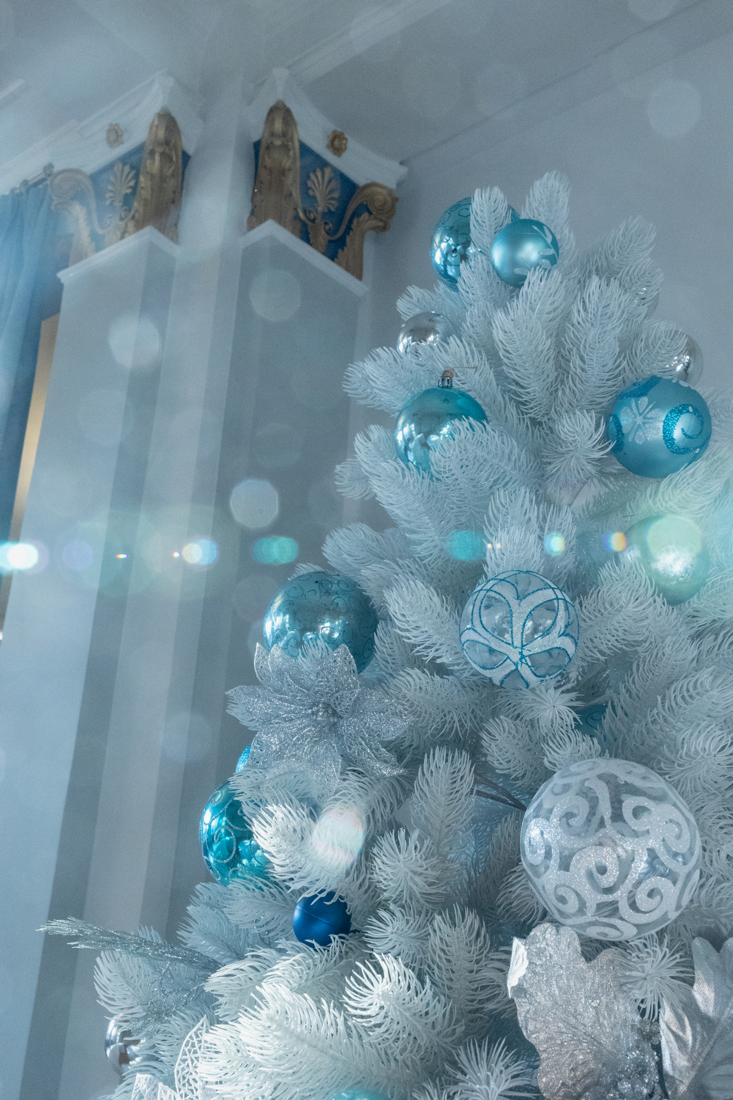 Зимний вечер в НОВАТе в НОВАТе - Фото №7