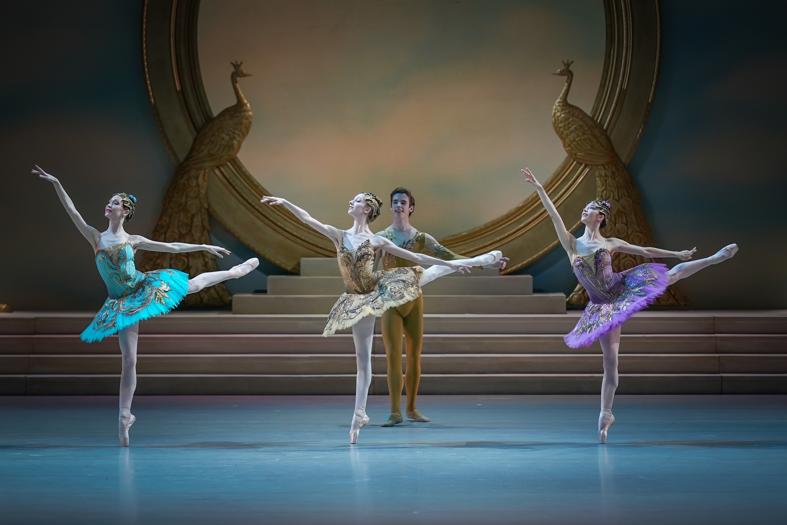 Спящая красавица в НОВАТе - Фото №12