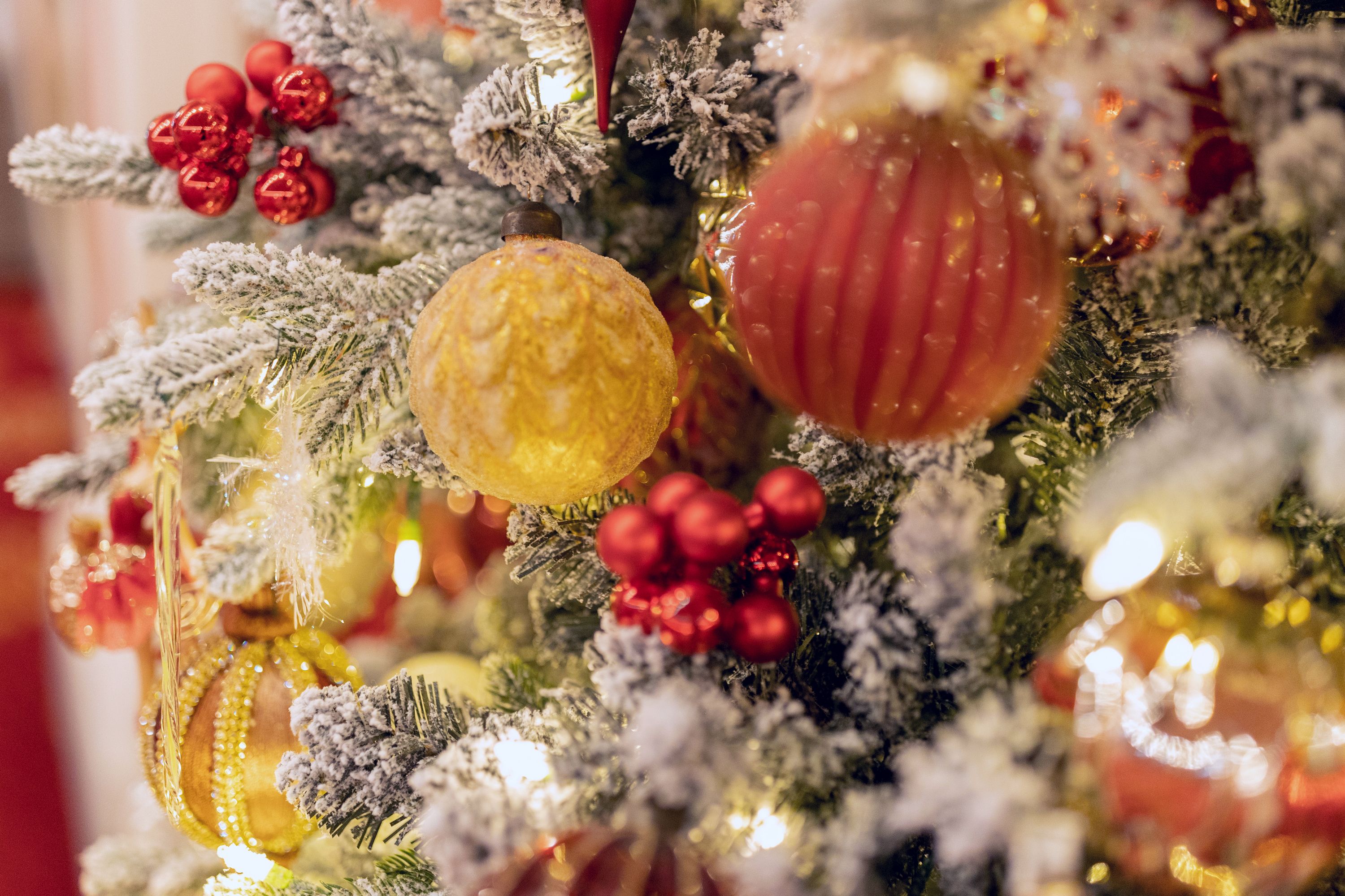 Зимний вечер в НОВАТе в НОВАТе - Фото №11