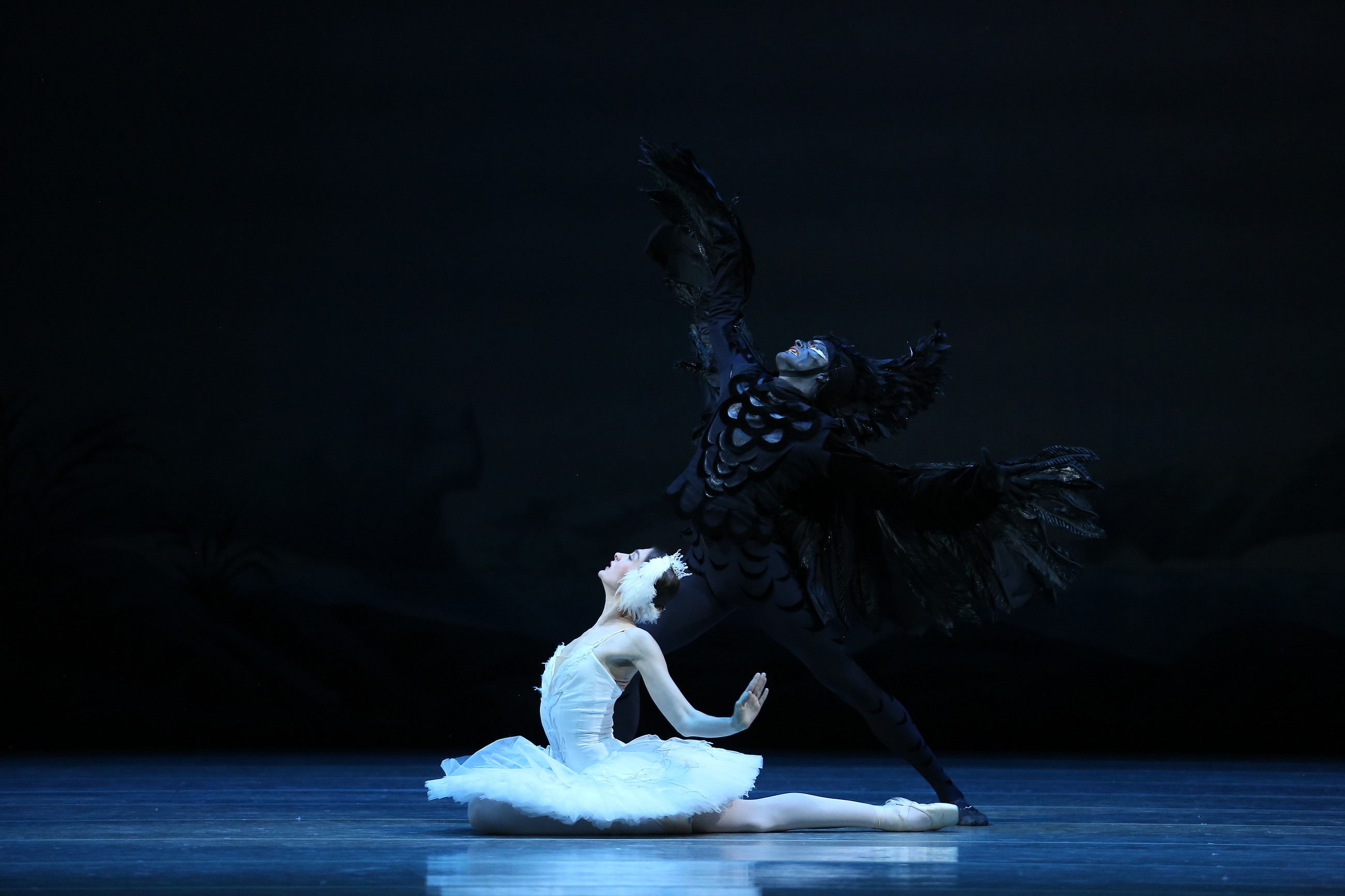 New Ballet set Rh (inspired by Swan lake) in 2023