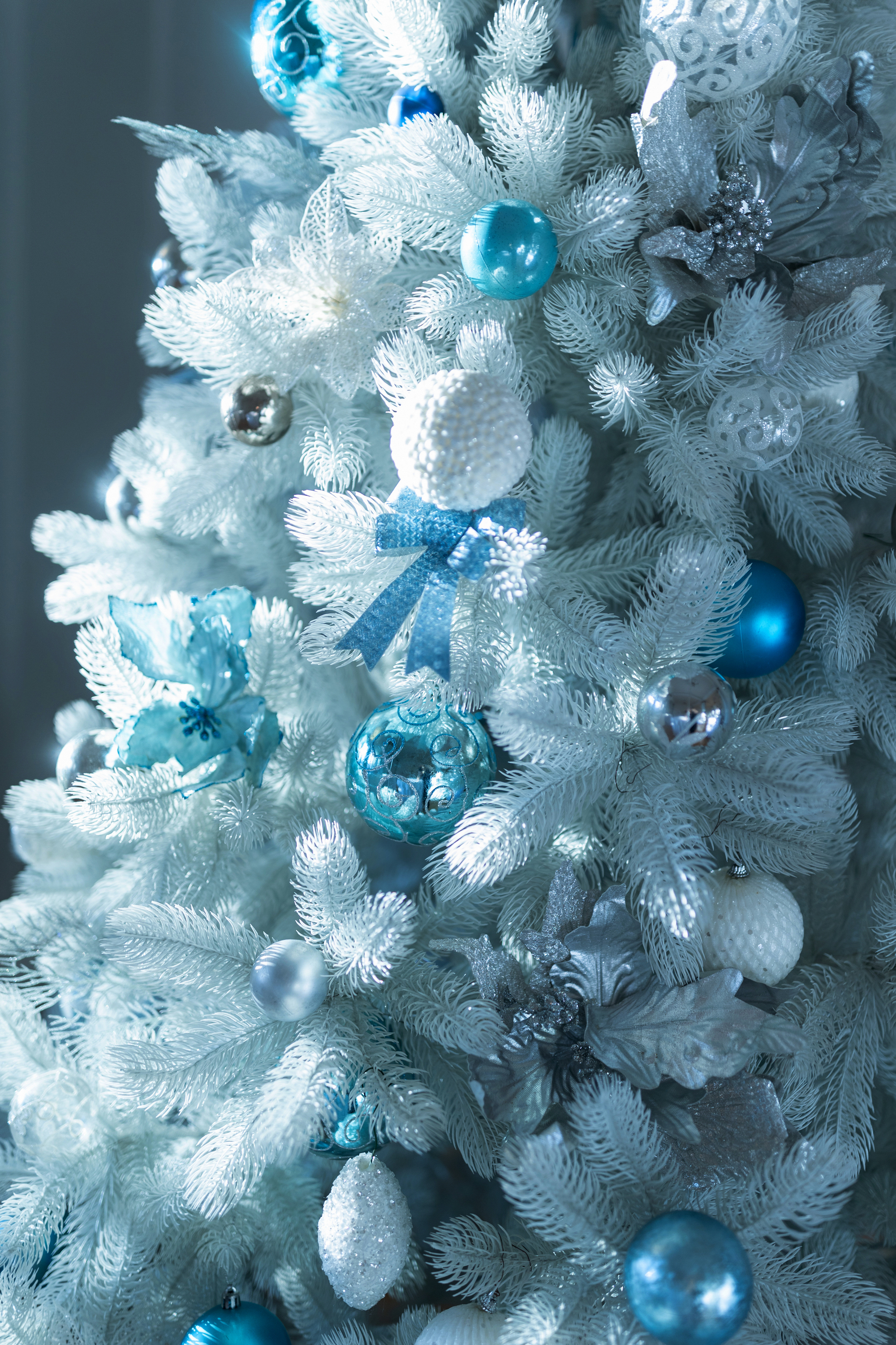 Зимний вечер в НОВАТе в НОВАТе - Фото №1