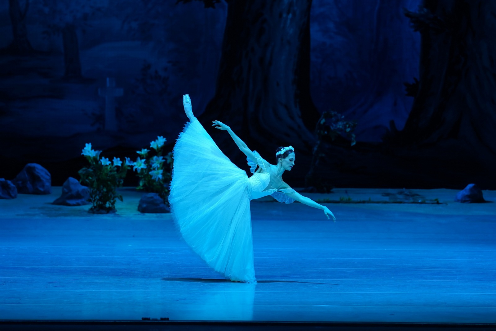 Giselle, ou les Wilis in NOVAT - Photo №6