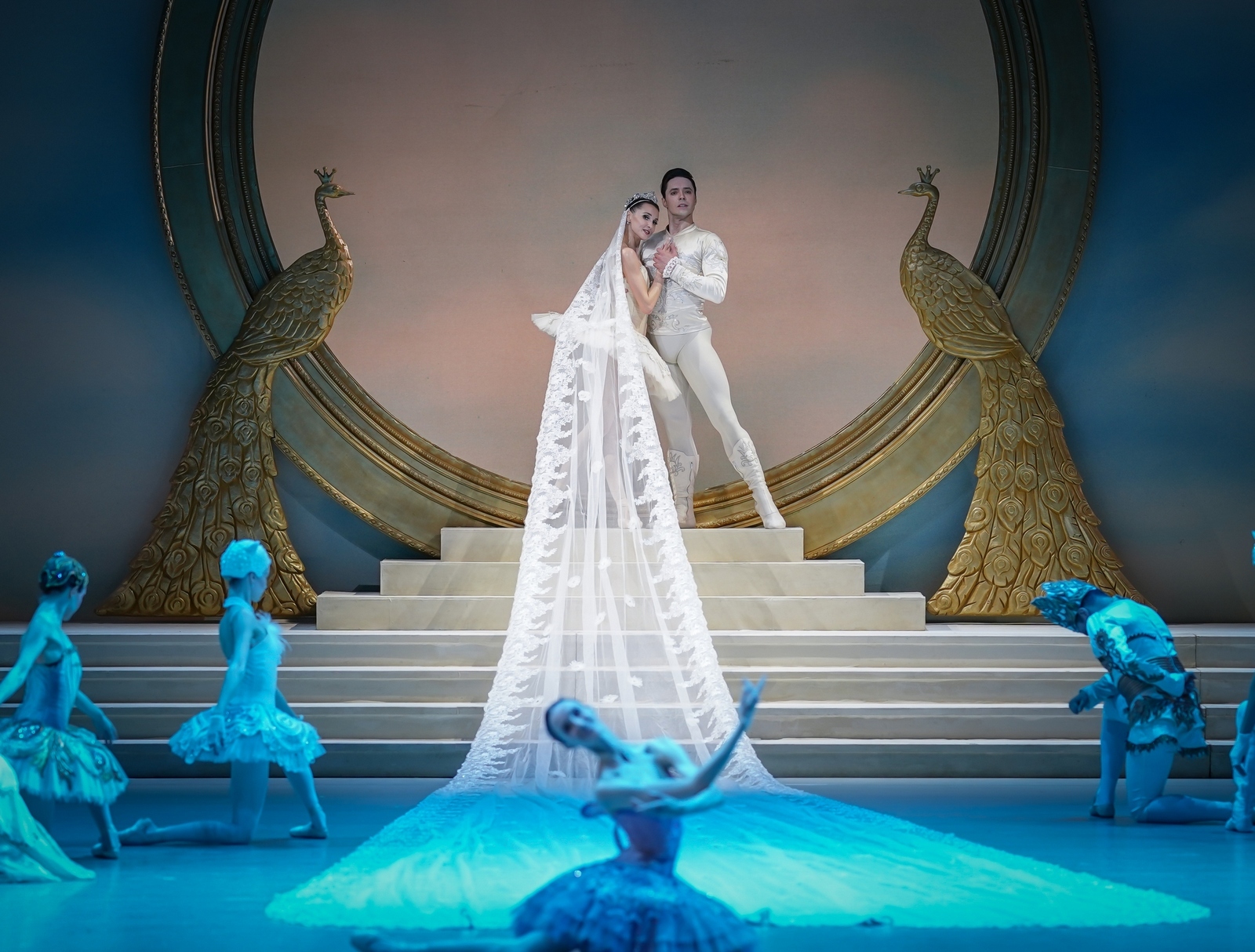 Спящая красавица в НОВАТе - Фото №18