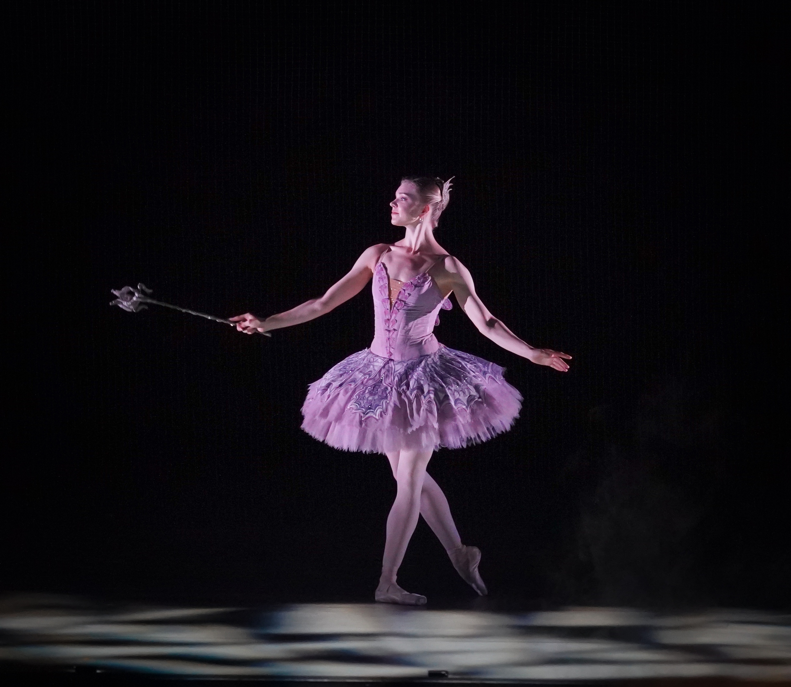 Спящая красавица в НОВАТе - Фото №5