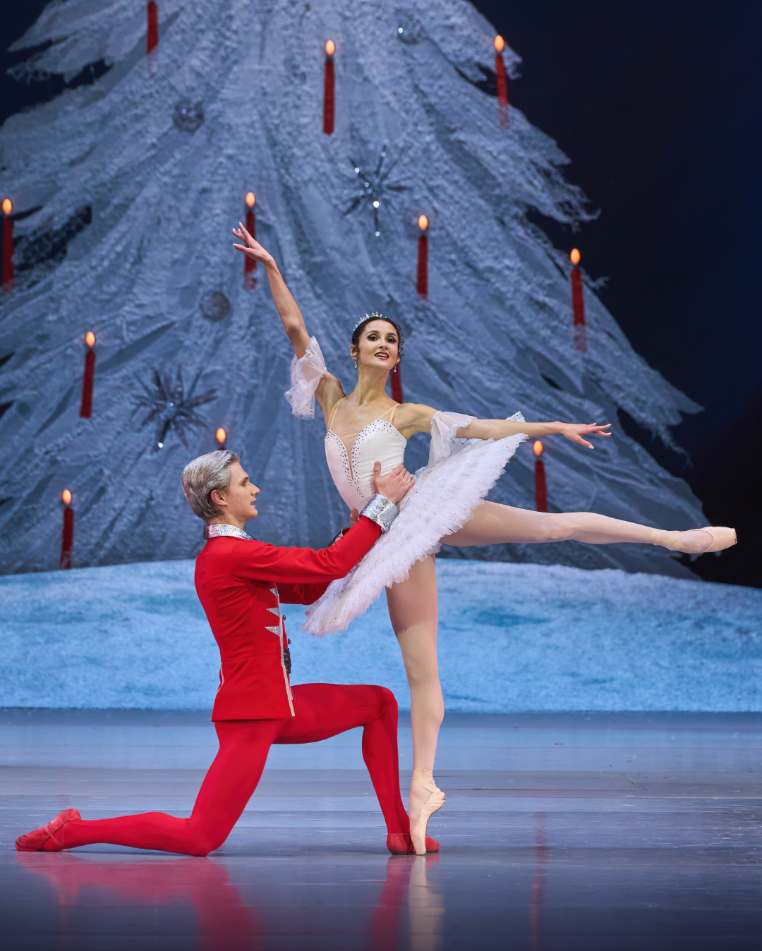 The Nutcracker in NOVAT - Photo №19