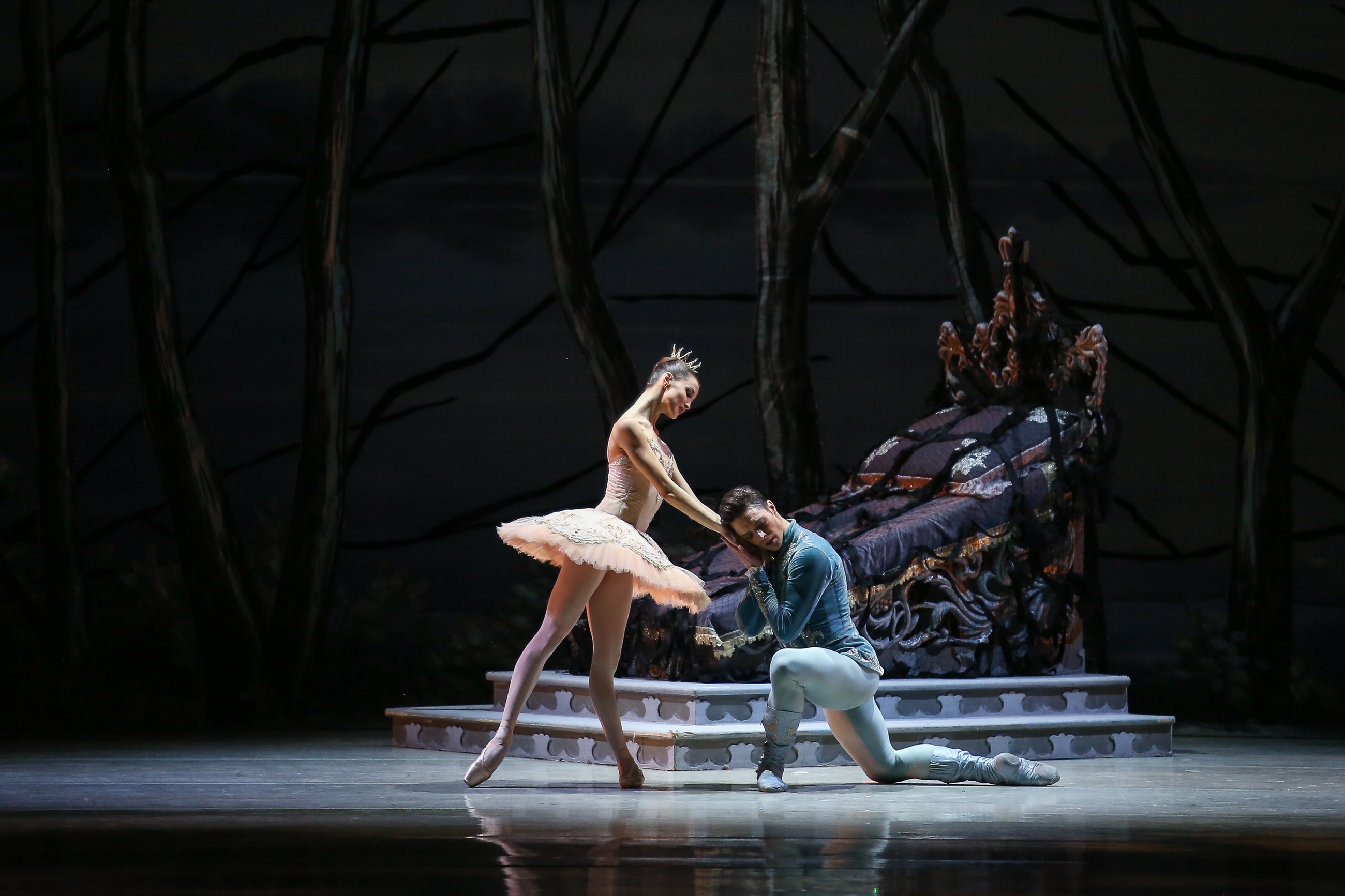 Спящая красавица в НОВАТе - Фото №10