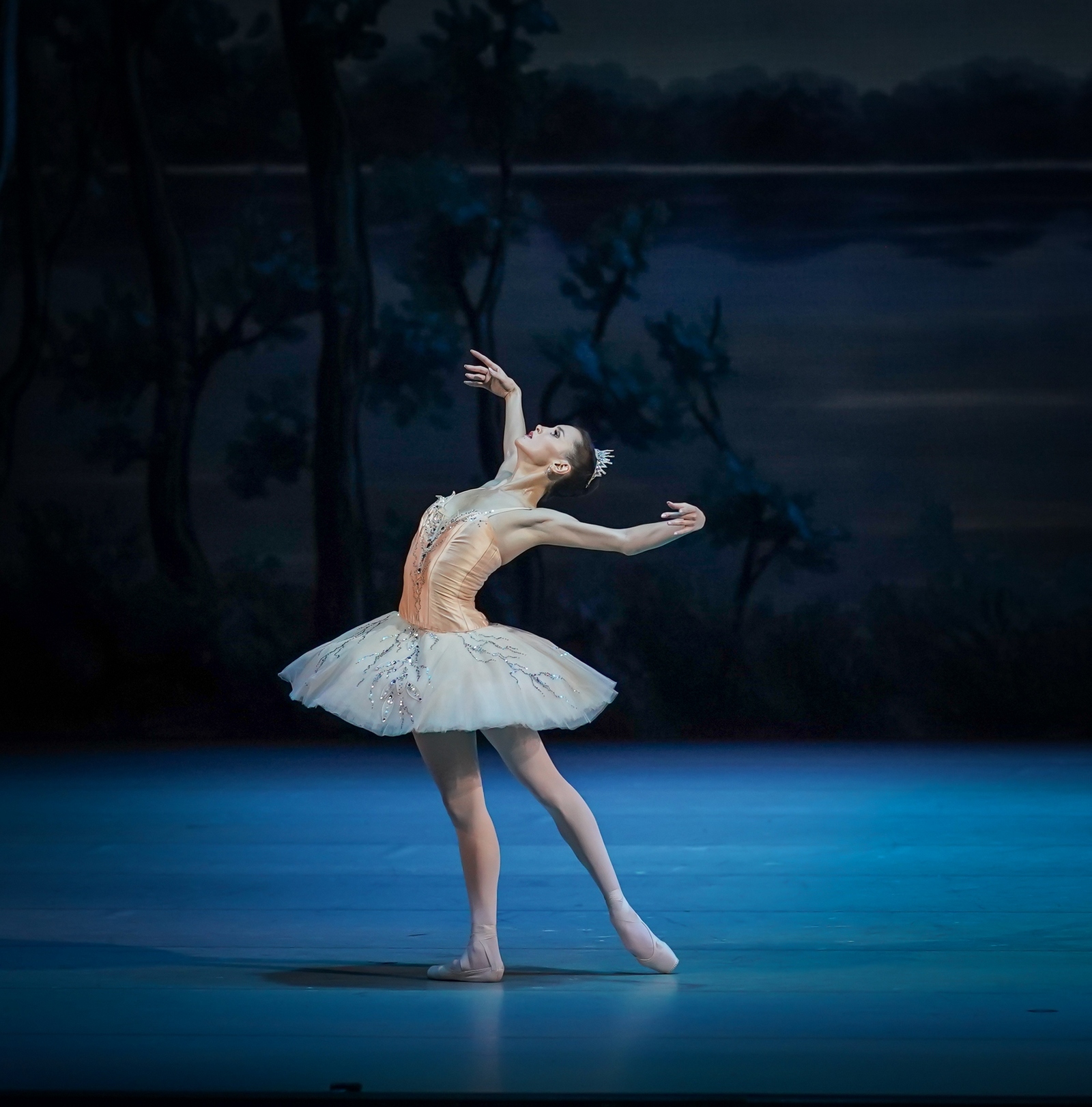 Спящая красавица в НОВАТе - Фото №13