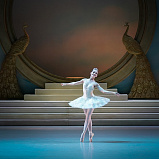 Анна Гермизеева: «Я благодарна за то, что у меня есть в театре» - НОВАТ - фото №4