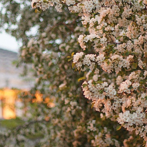 Славный май в НОВАТе