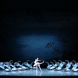 Премьера балета «Лебединое озеро» состоялась в НОВАТе - НОВАТ - фото №15