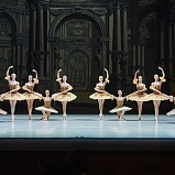 Премьера под занавес балетного сезона - НОВАТ - фото №2