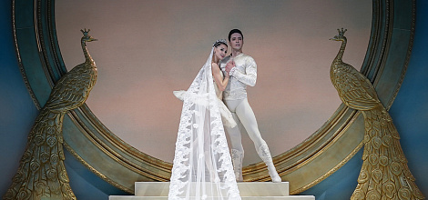 Спящая красавица в НОВАТе