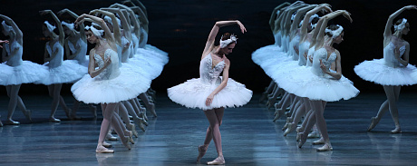 NOVAT Ballet Company ends the season with Swan Lake - NOVAT