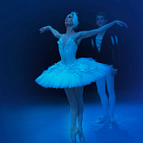 Прима-балерине НОВАТа Анне Одинцовой присвоено звание народного артиста России - НОВАТ - фото №4