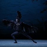 Премьера балета «Лебединое озеро» состоялась в НОВАТе - НОВАТ - фото №2