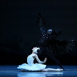 Премьера балета «Лебединое озеро» состоялась в НОВАТе - НОВАТ - фото №13