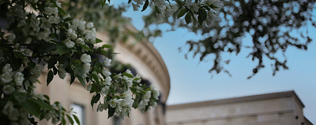 Tickets for May are on sale! - NOVAT