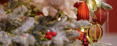 Tickets for the entire month of January are on sale! - NOVAT