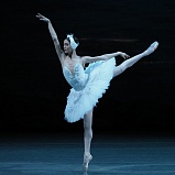 Премьера балета «Лебединое озеро» состоялась в НОВАТе - НОВАТ - фото №19